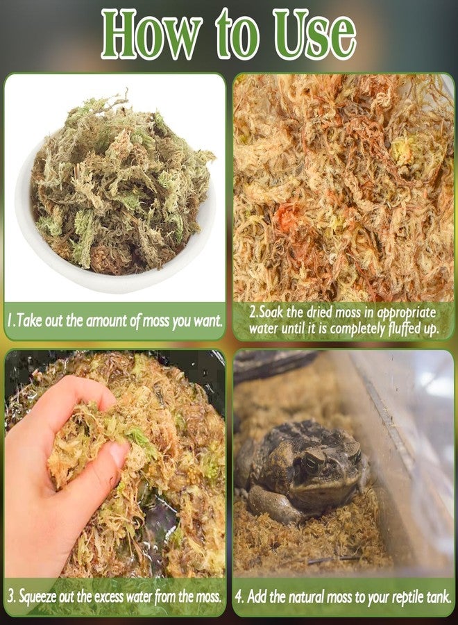 Halatool 3.5OZ Natural Sphagnum Moss for Reptiles Premium Reptile Moss Ideal Terrarium Moss for Box Turtles Hermit Crabs Leopard Gecko Snakes and Hamsters Enclosure - Image 2